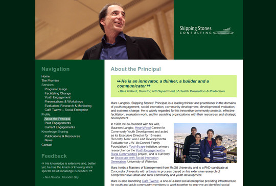 The original Skipping Stones website homepage screenshot