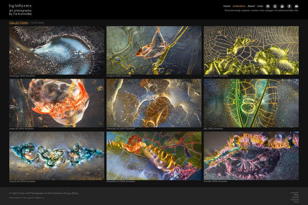 Web development by Mike Cygalski of digibee.net. Light Forms art photography website portfolio of Ela Kurowska; a representative website homepage screenshot.