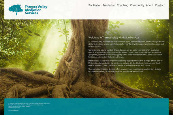 Web design by Mike Cygalski of digibee.net in London Ontario. Thames Valley Wordworks website homepage screenshot.